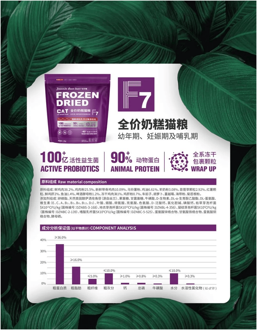 食品品牌上新不断上心永远麻将胡了游戏豆子熊宠物(图5)