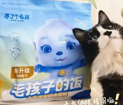 粮！三只松鼠靠什么重返宠物食品赛道PG麻将胡了2零食巨头盯上毛孩子口(图4)