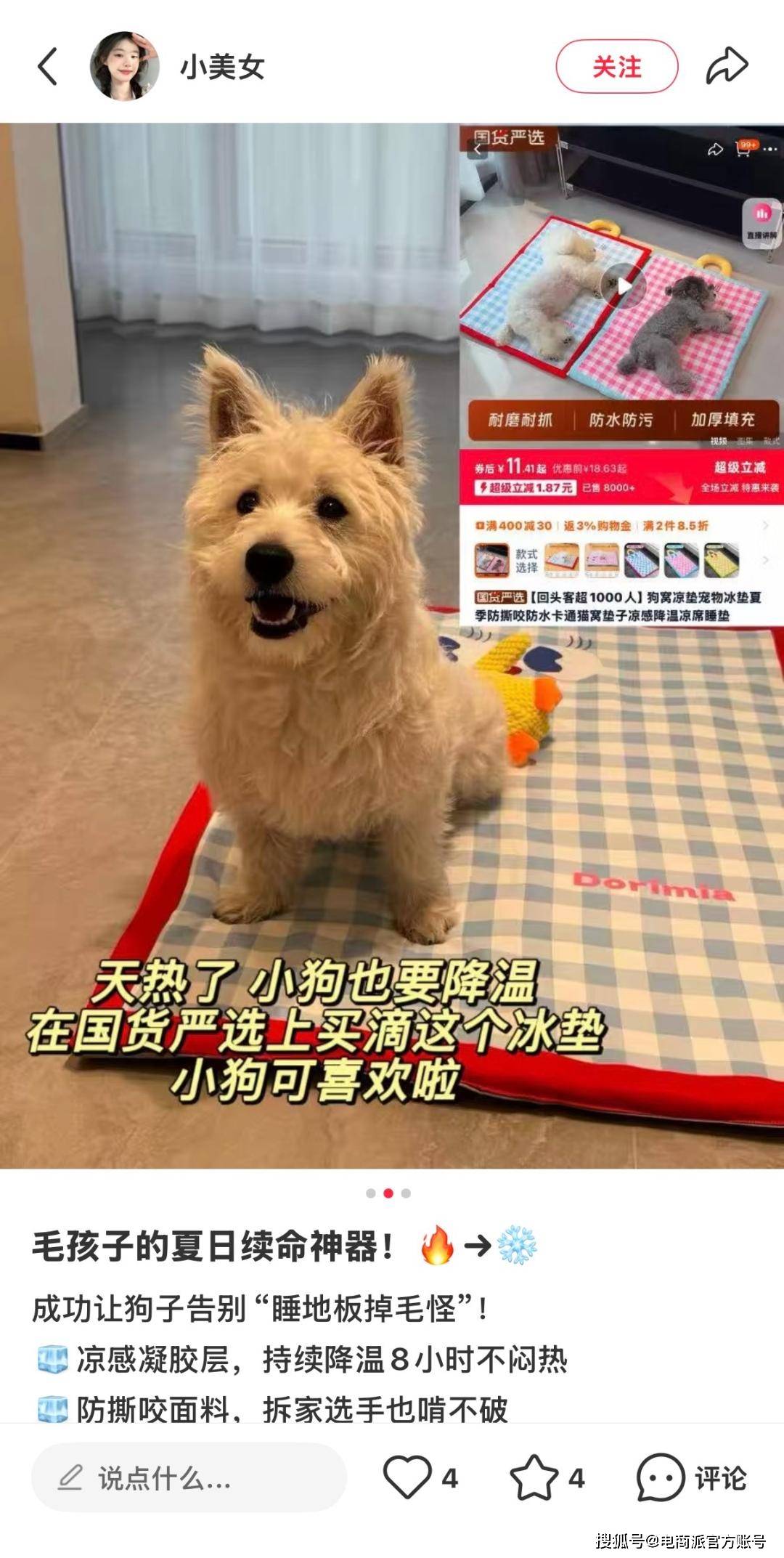 新潮流大批“毛孩子”家长涌入淘工厂PG麻将胡了2试玩“携宠出游”掀起(图3)