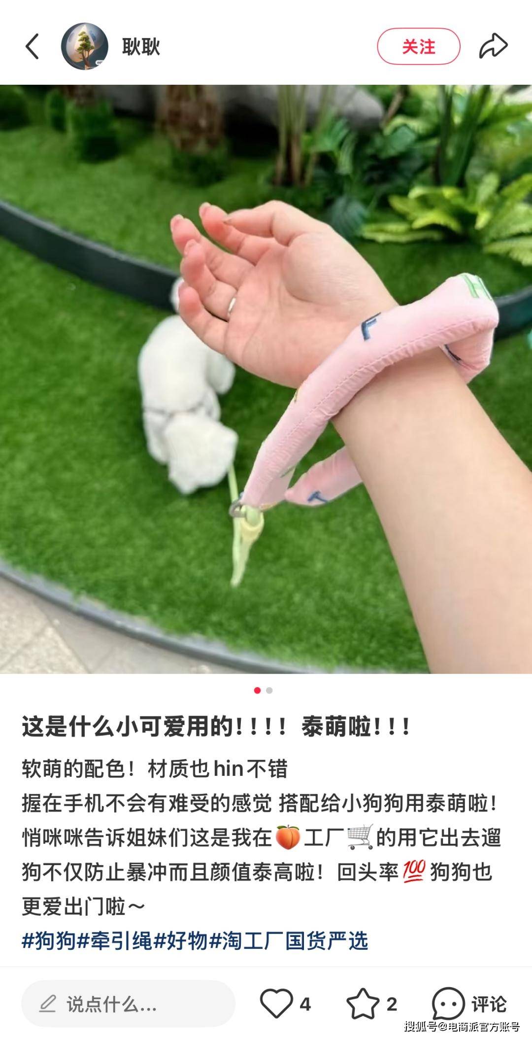 新潮流大批“毛孩子”家长涌入淘工厂PG麻将胡了2试玩“携宠出游”掀起(图5)
