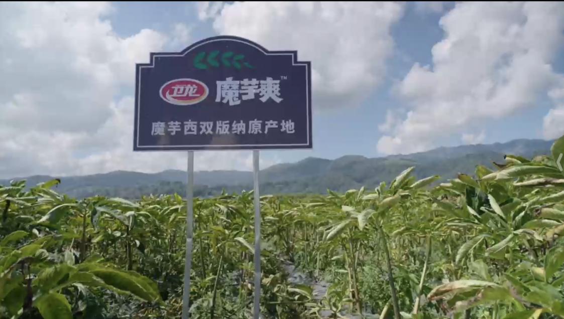 纤维爆表：魔芋爽为何成Z世代心中零食顶流？PG电子麻将胡了2试玩热量不到苹果一半