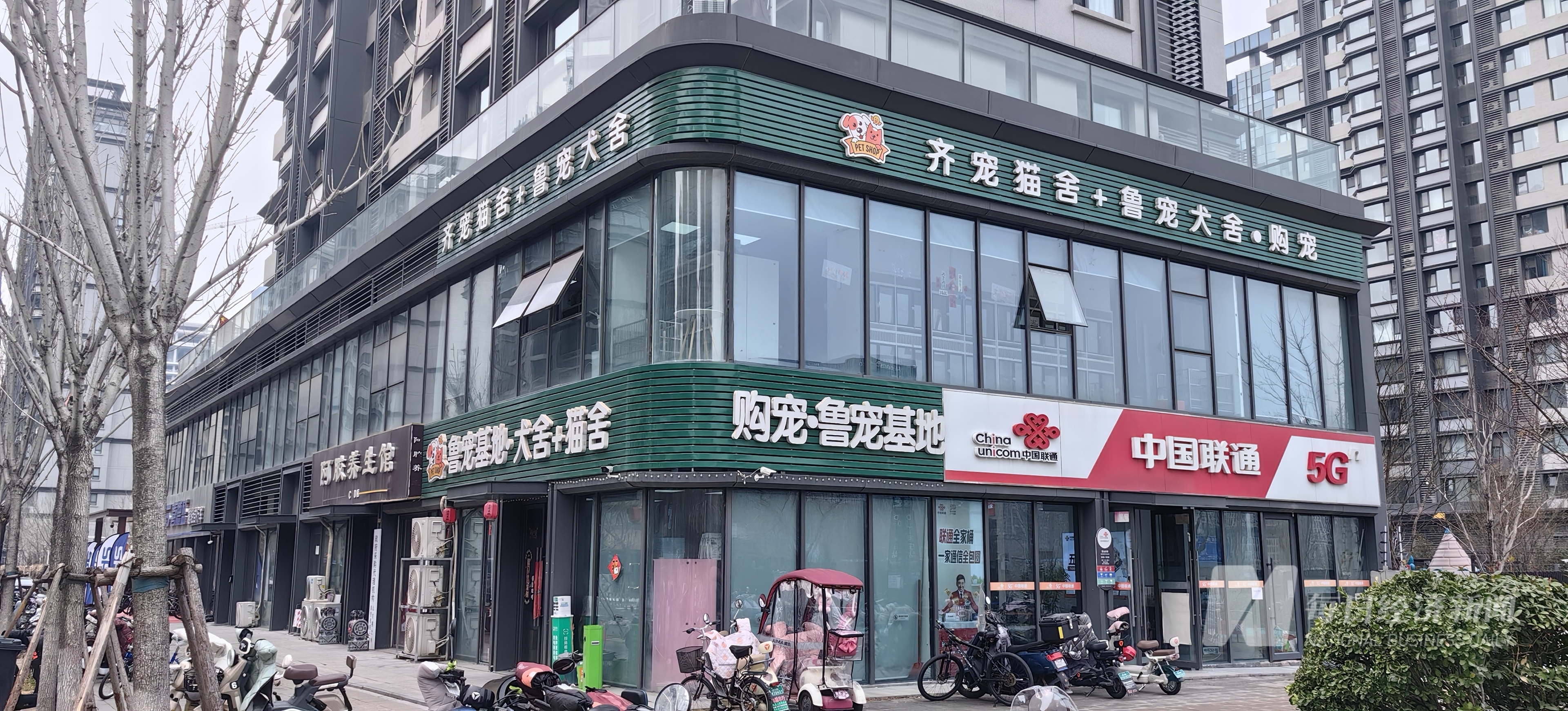 药宠物从“吃饱”转型“吃好” 国产品牌崛起驱动万亿元市场麻将胡了“2025 宠物消费·智享未来报告”｜狗粮也加中(图4)