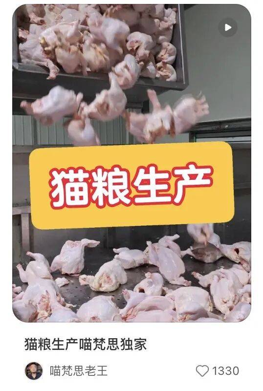 喵梵思把信任变成了成本PG电子麻将胡了试玩(图6)